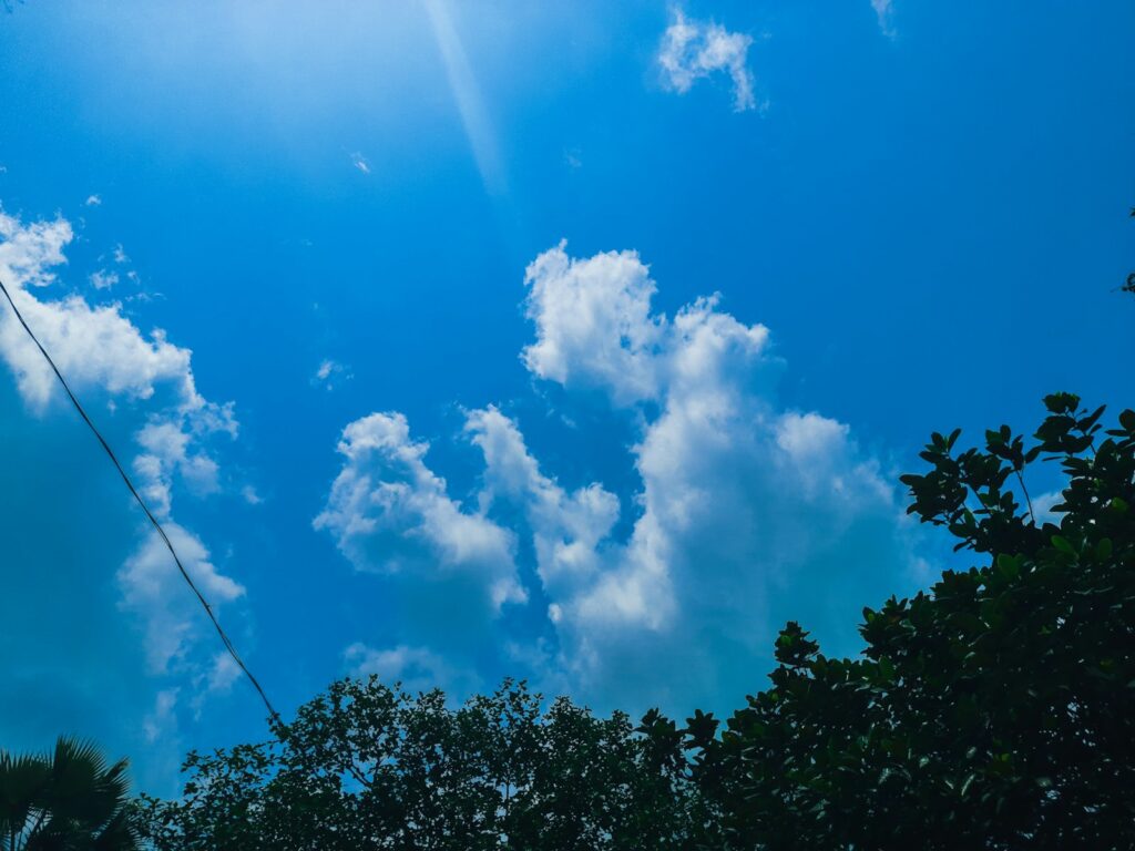 the sun shines brightly through the clouds above the trees
